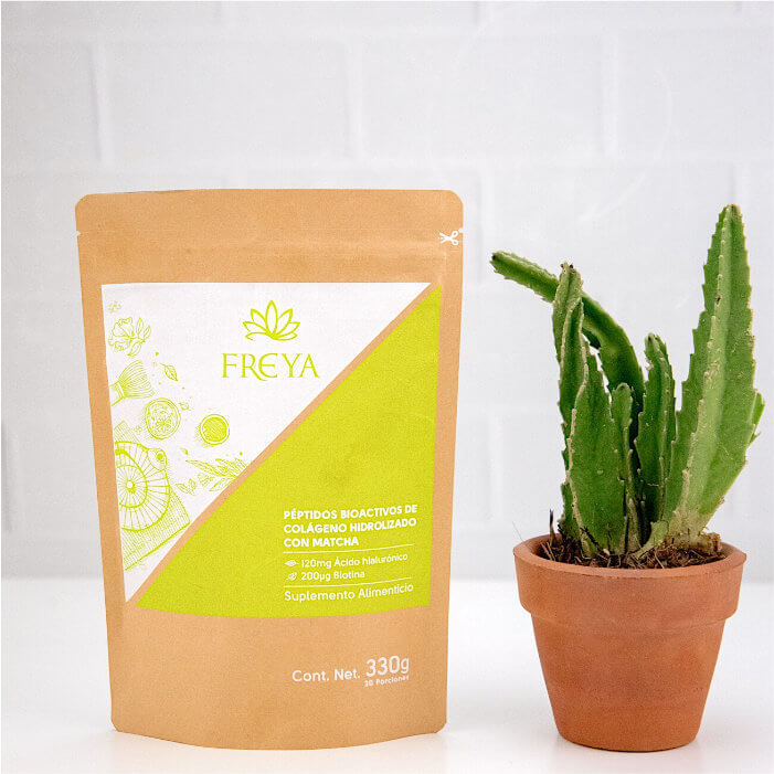 Producto Freya Matcha con maceta al lado